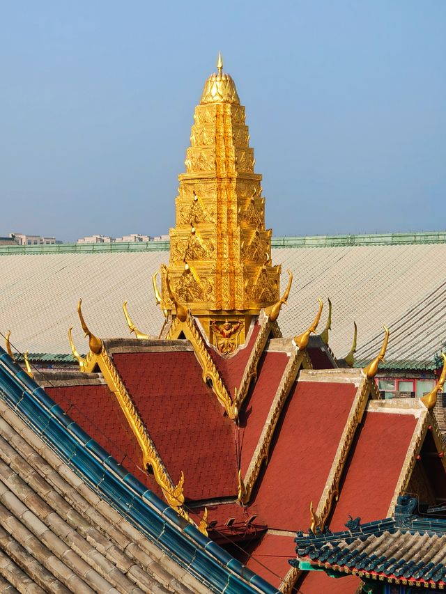 國安第一城。