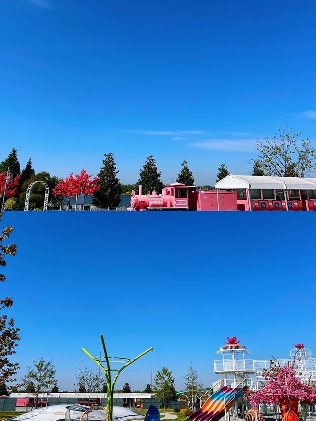 邂逅愛神之箭：中國愛情花卉小鎮之旅。