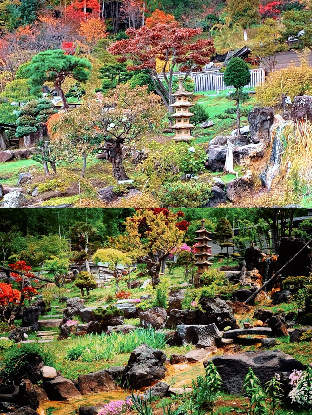 札幌賞楓圖鑑：豐平峽溫泉。
