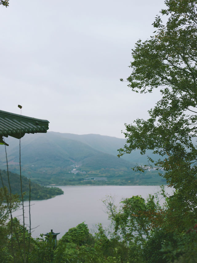 宜興龍隱•溪山 | 來了N次，下次還要來。