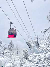 成都周邊｜南方小土豆在瓦屋山看雪，美爆了。