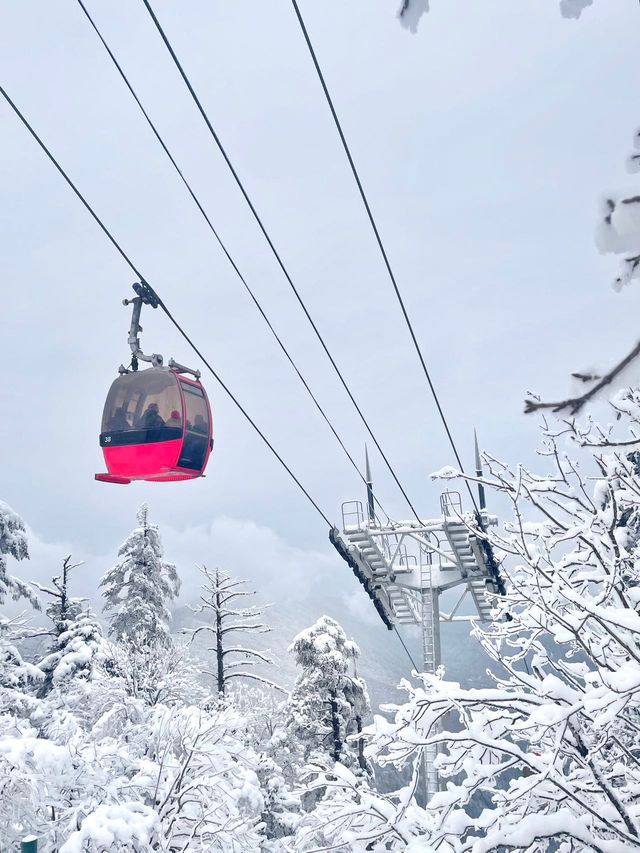 成都周邊｜南方小土豆在瓦屋山看雪，美爆了。