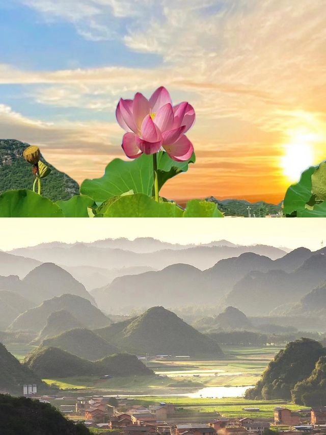 普者黑旅行超詳細攻略。