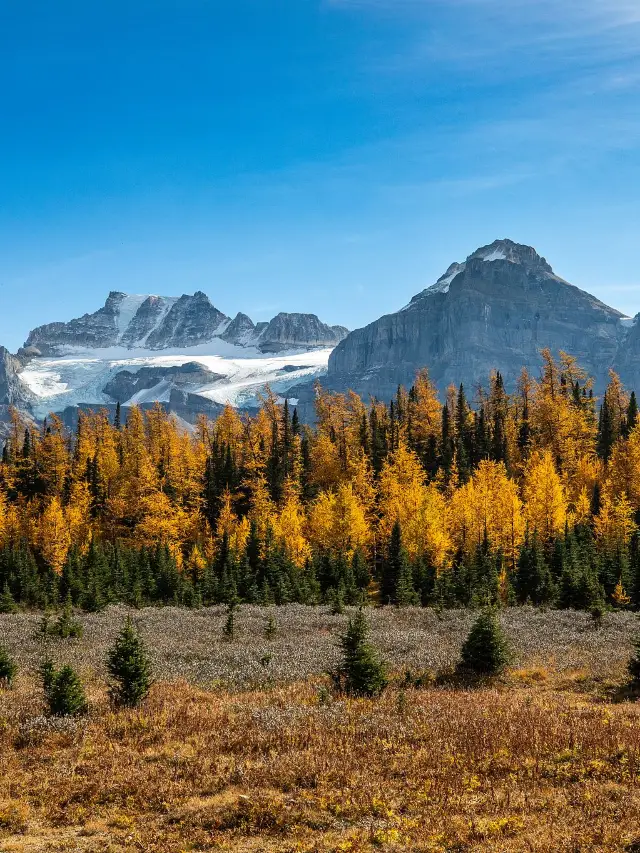 11-Day Canada Tour: A Stunning Winter Journey