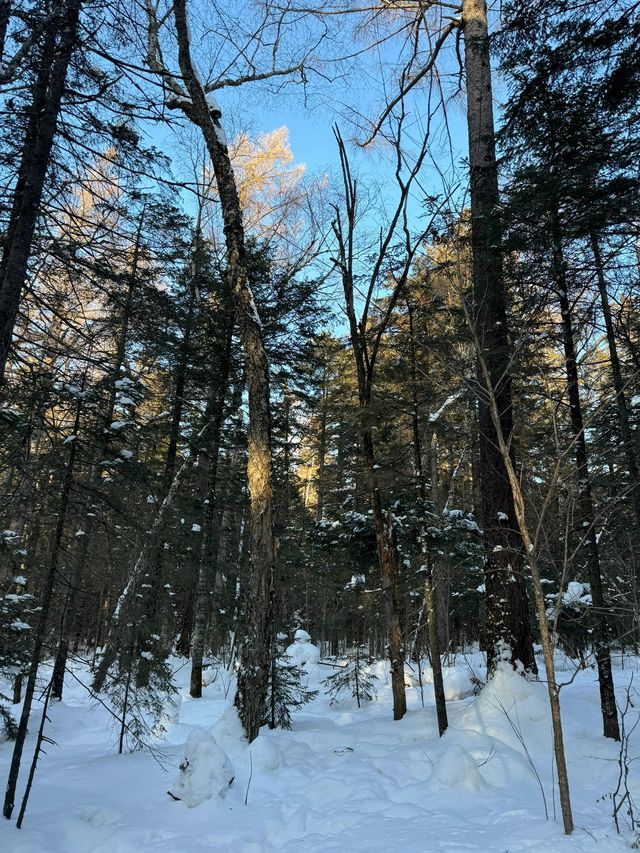 延吉2日秋遊 盡賞熱門美景