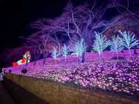 2022 Sagamiko Forest Light Show