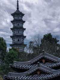 來武義，這個季節的延福寺一定不容錯過||延福寺：不單單是一座