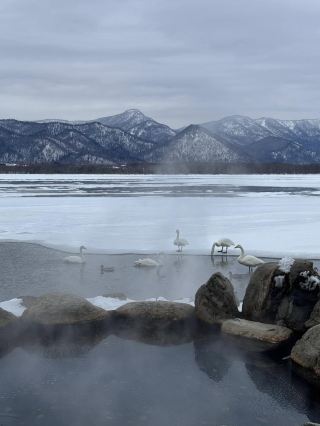 Hokkaido Swan Snow Hot Spring Guide