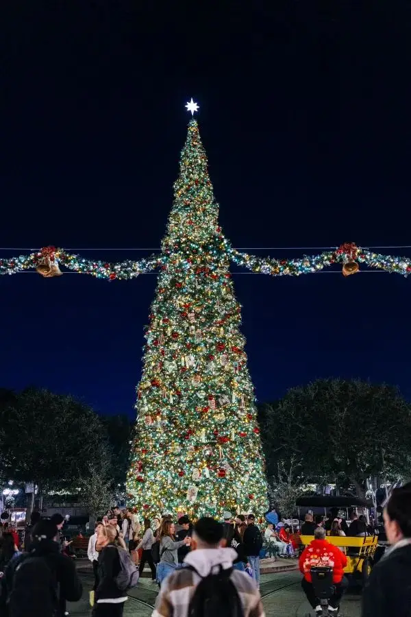 Experience the Magic of Disneyland at Night