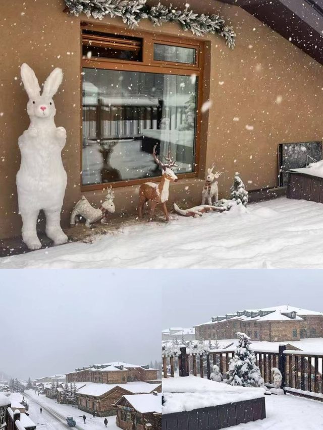 今天要介紹一間雪鄉超級棒的酒店