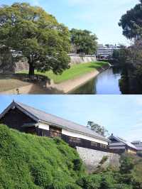 小長假神仙玩法日本7日人生必遊之旅