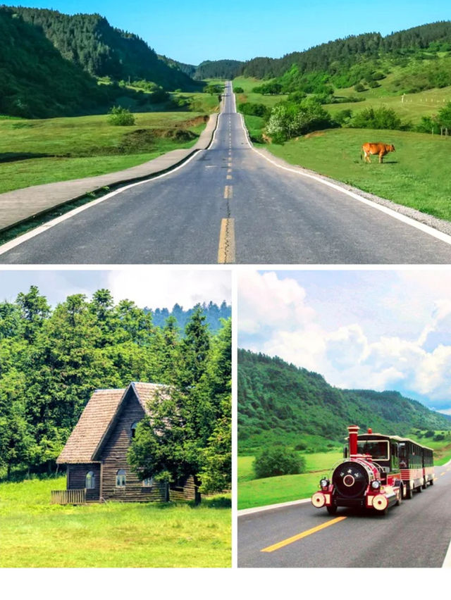 พาเที่ยว ฉงชิ่ง อู่หลง เเบบวันเดย์ทริป🚘