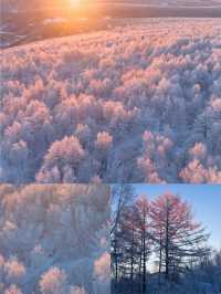 當 pink blue hour 遇上阿爾山的霧凇！！