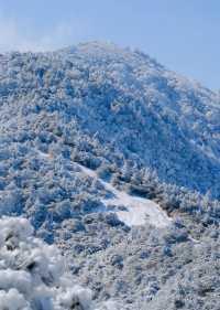 杭州出發｜12月23日 太子尖觀雪賞霧凇
