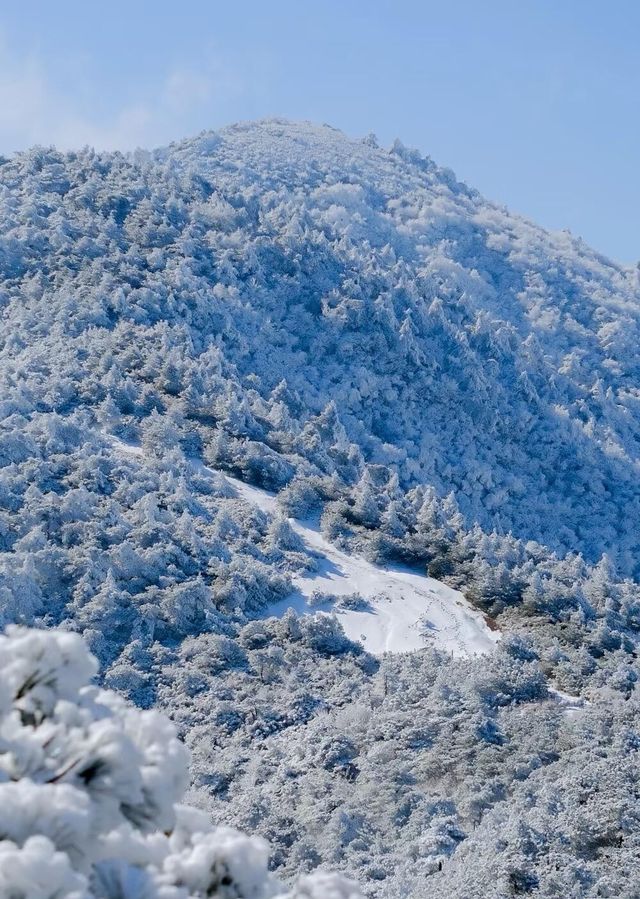 杭州出發｜12月23日 太子尖觀雪賞霧凇