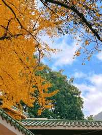 乳源雲門寺| 隨緣而來，隨心而至