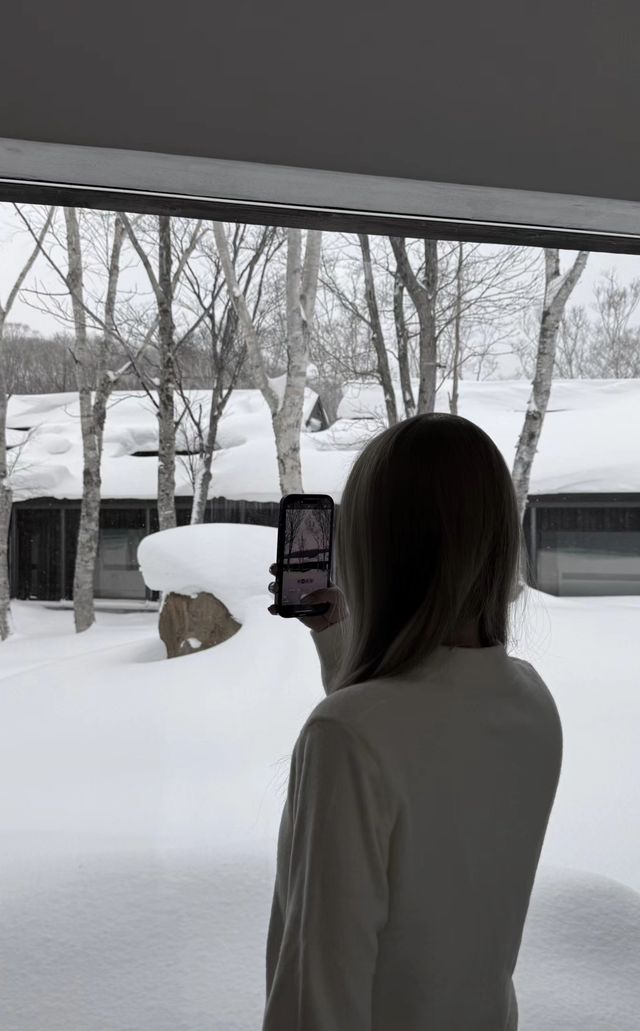 北海道二世古滑雪酒店天花板