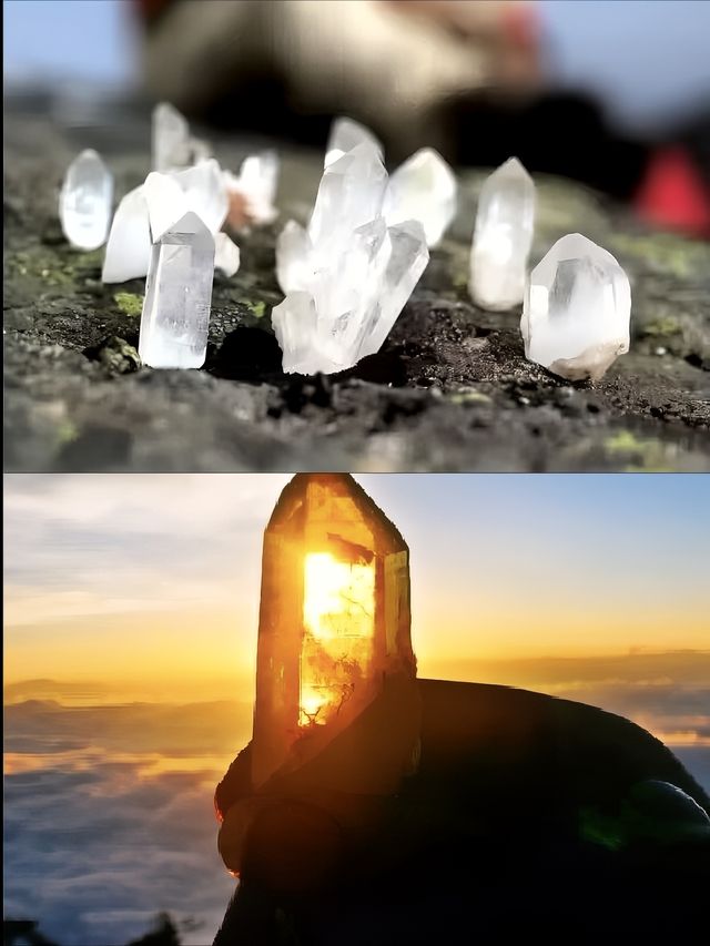 俄爾則俄｜重生之我在魔幻森林撿水晶。