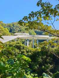 深圳｜以橋為由的大頂嶺公園，你來了嗎