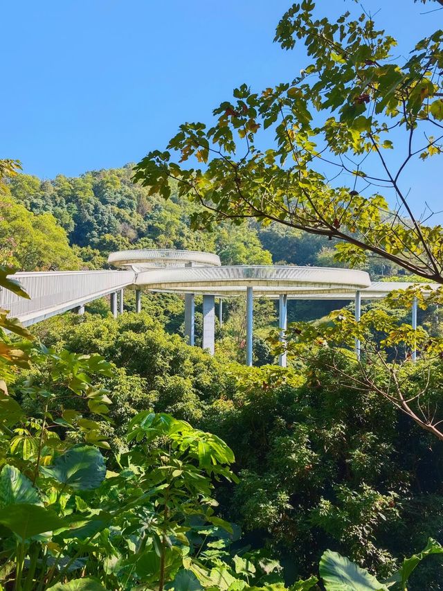 深圳｜以橋為由的大頂嶺公園，你來了嗎