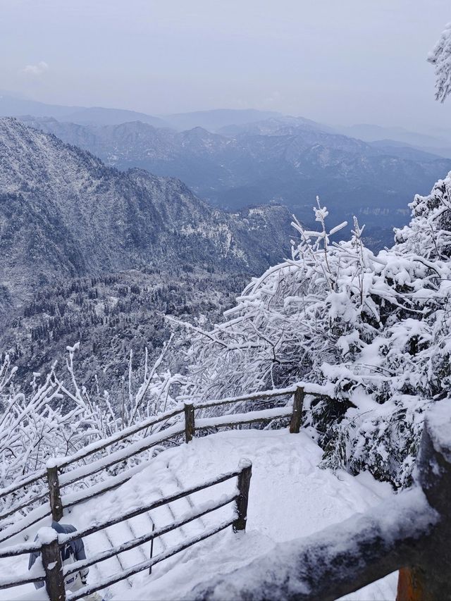 過年要去峨眉山2日遊玩全攻略
