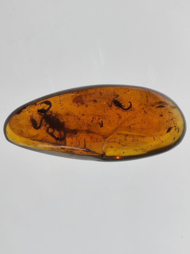 玉碗盛光——珍稀琥珀展
