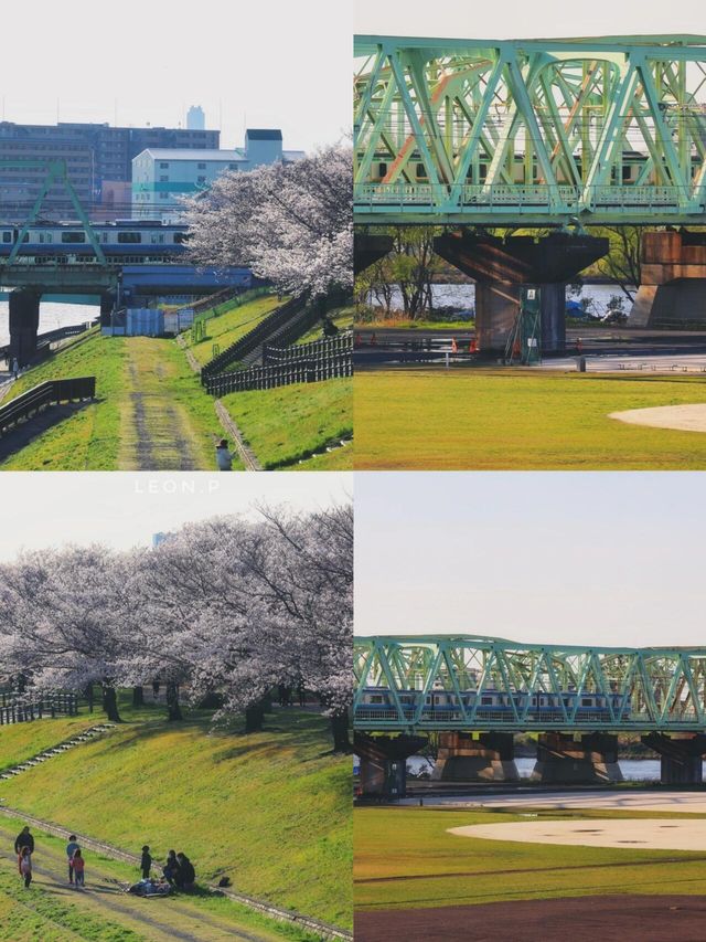 探秘川口市：東京旁的小眾寶藏