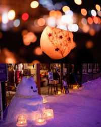 2025年日本雪祭~錯過就要等一年了
