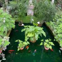 闖入英式莊園，邂逅百年時光