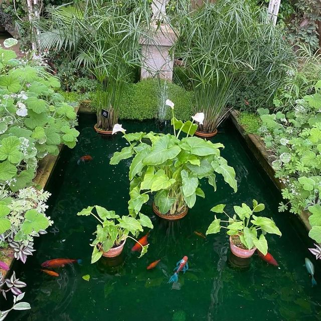 闖入英式莊園，邂逅百年時光