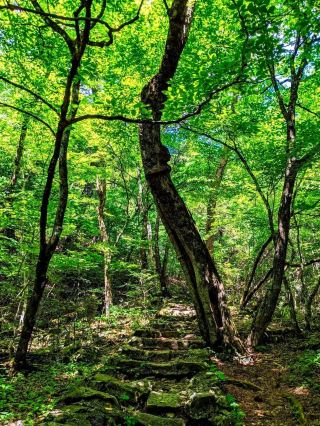 Mitsutoge Mountain
