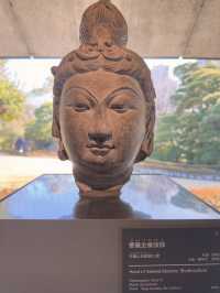 在靜謐中感受東京的藝術氣息