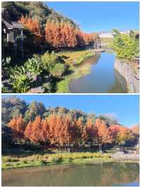 騰沖旅居遊丨瑪御谷溫泉小鎮a