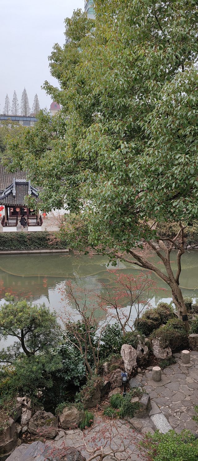 冬天的曲水園 冬天的曲水園