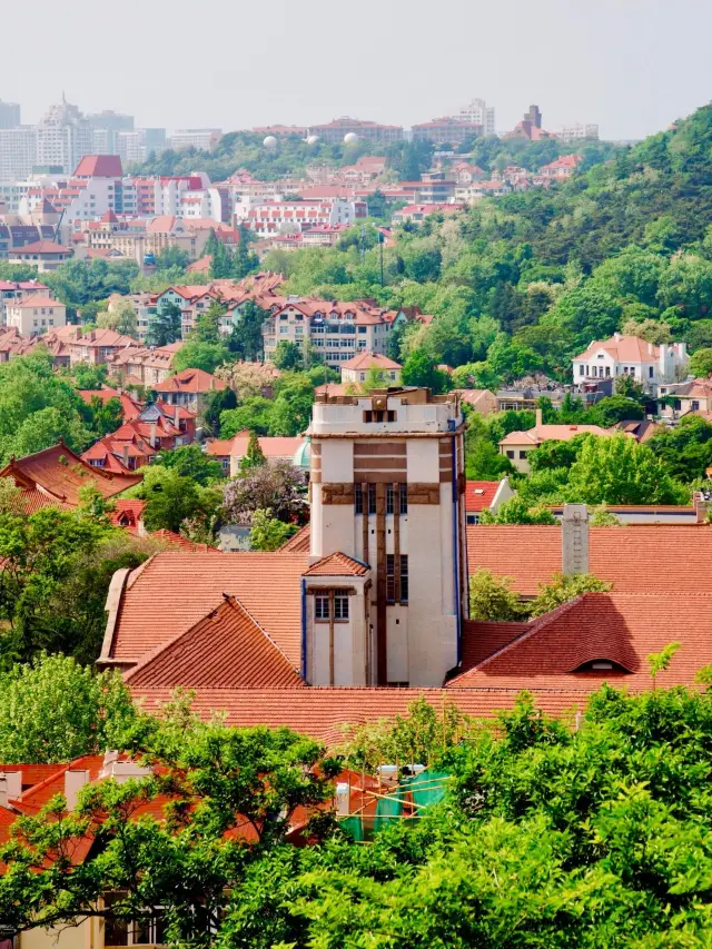 Winter Break in Taishan, Qingdao, and Weihai: A Heartbreakingly Beautiful Trip