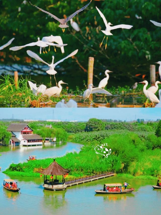 蘇州!呢間山野私湯、太city啦啦啦!!
