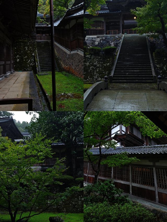 解鎖福井：小眾日本的私藏畫卷