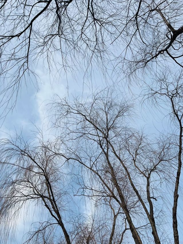 鄭州周邊遊｜滎陽索河郊野公園
