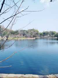 上海的小西湖—楊浦公園探尋