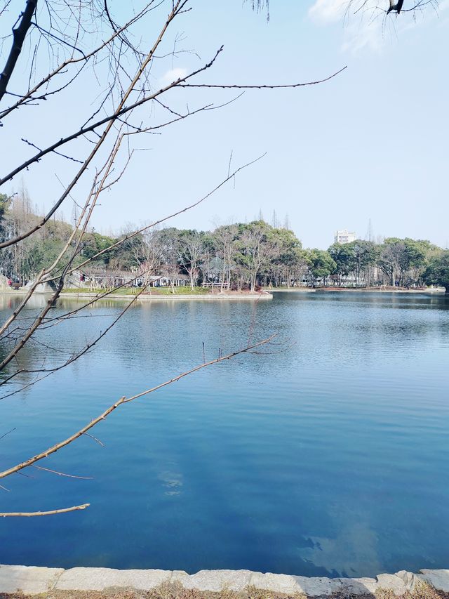 上海的小西湖—楊浦公園探尋