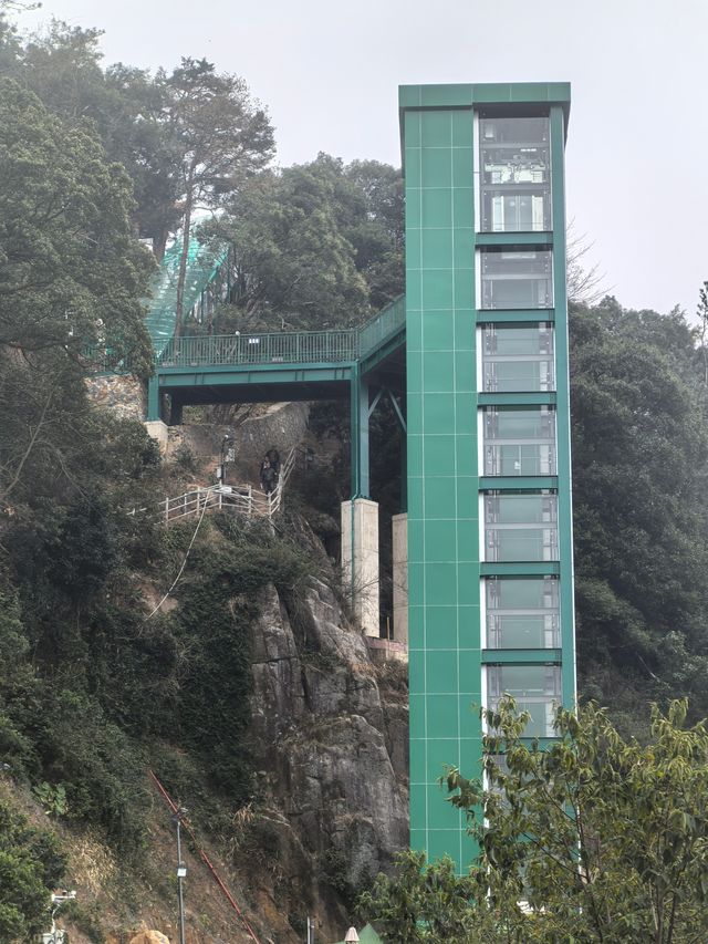 春來尋夢石竹山