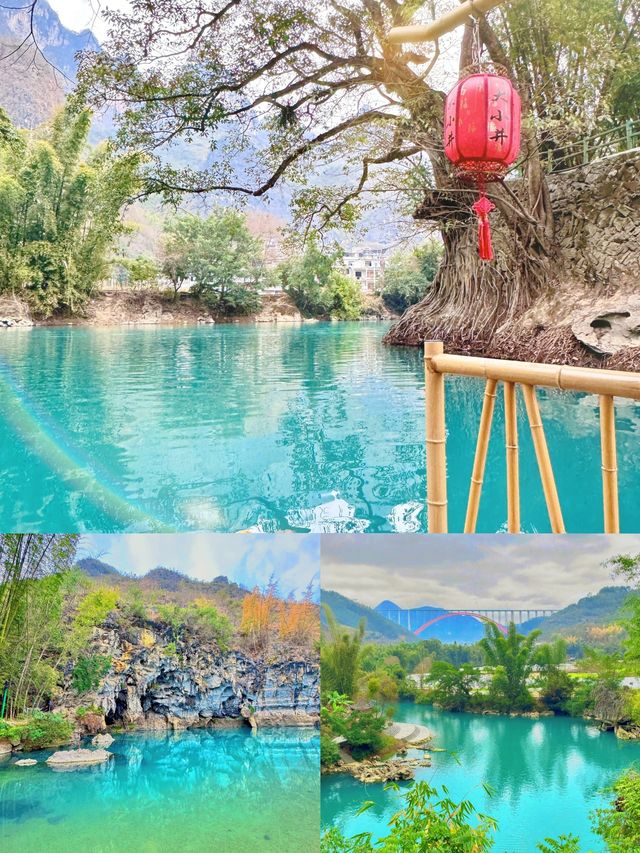 能救一個是一個，2-4月份真的很美。