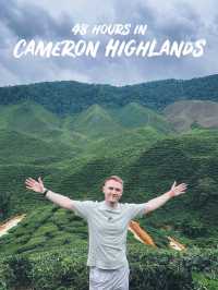 48 Hours in Cameron Highlands 🇲🇾 