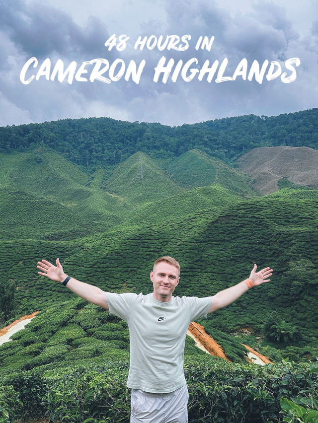 48 Hours in Cameron Highlands 🇲🇾 