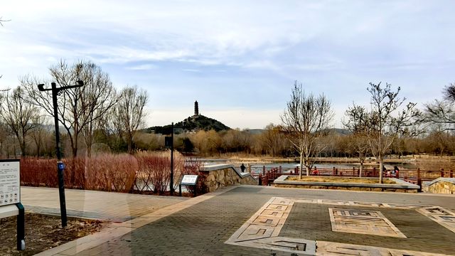 3月初的北塢公園，準備迎春了！