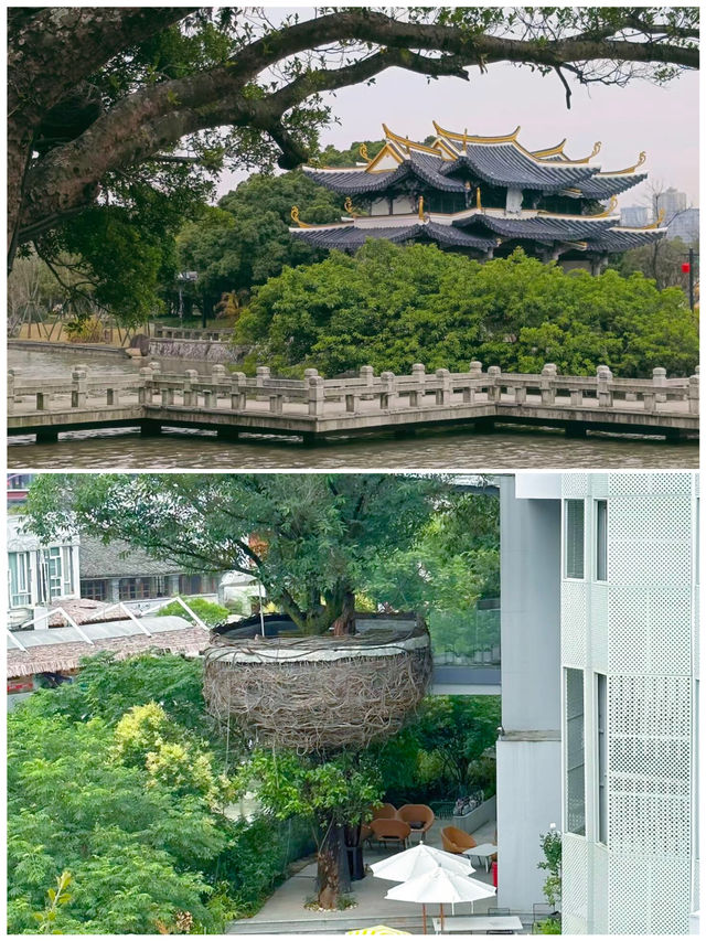 溫州親子遊歸來，分享真實體驗！因為一首歌愛上一座城
