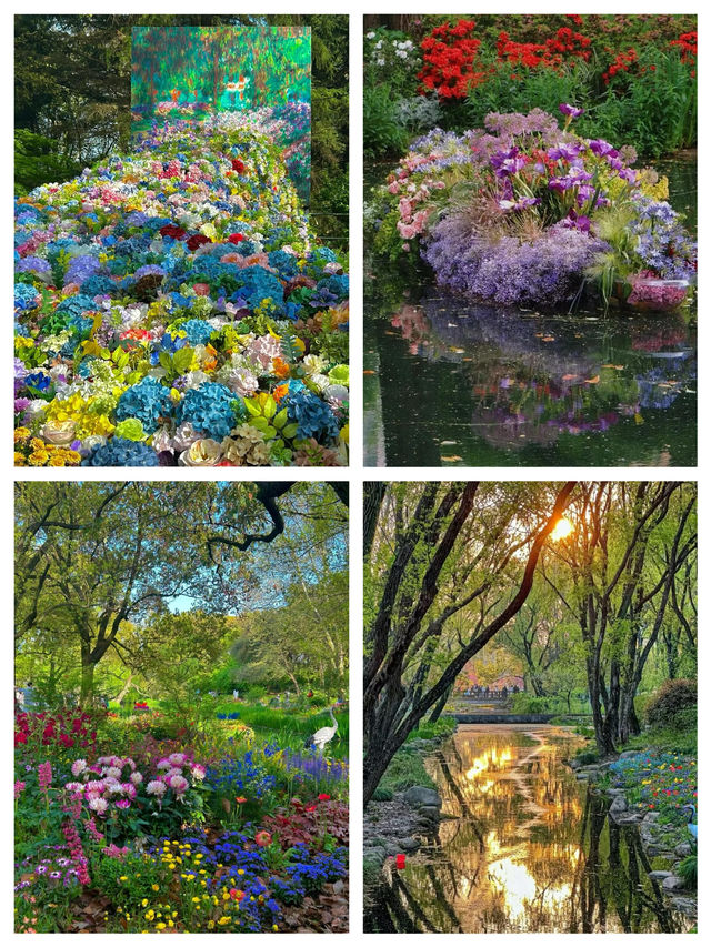《3月上海莫奈花園，邂逅浪漫春光》