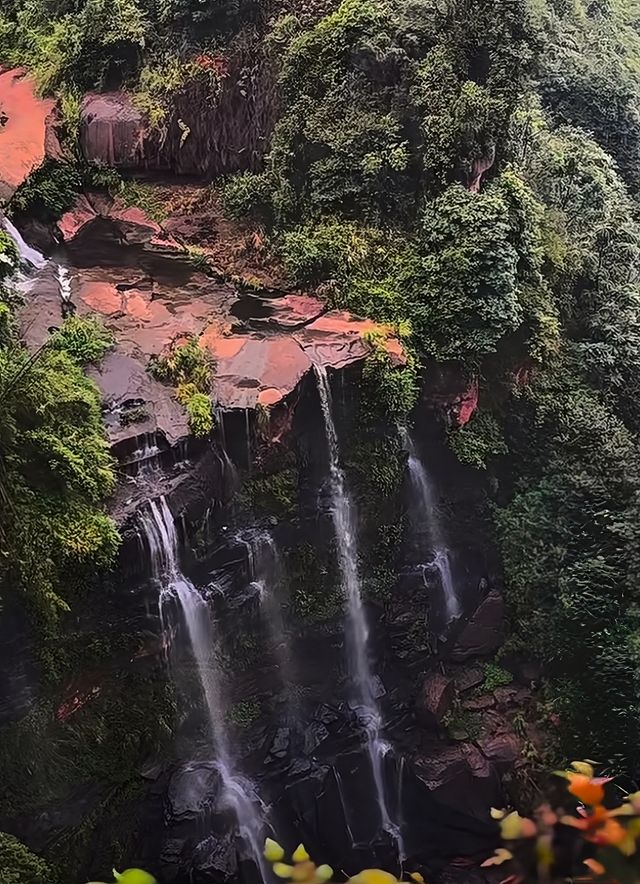 蜀南竹海：赴一場綠野仙蹤之約