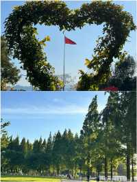 寧波四天受罪已回  說說真心大實話
