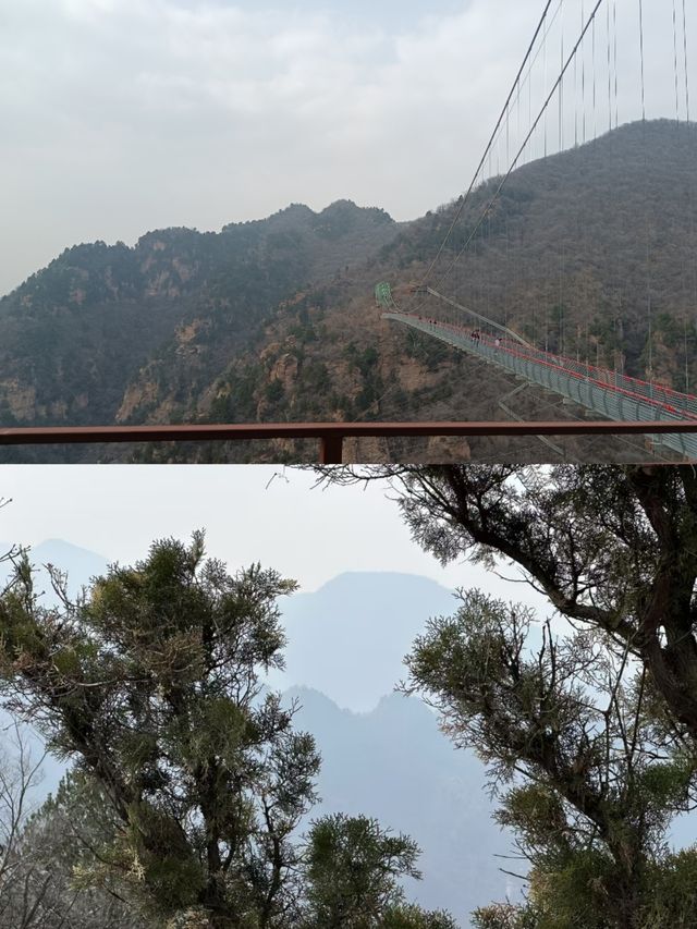 渑池仙門山修仙指南